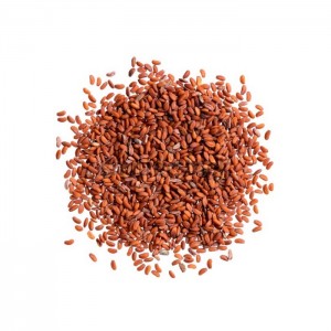 دانه یا تخم (بذر) شاهی