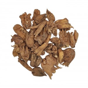 ثعلب پنجه ای