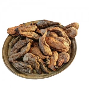 جند بیدستر