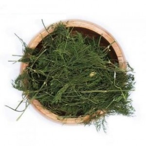 شوید کوهی (چاوک)