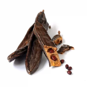 خرنوب ایرانی