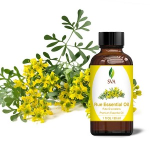 روغن سداب اصلی