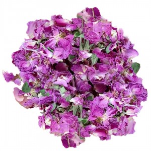 گل محمدی (سرخ) باز شده