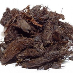 ریشه انجبار