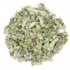 کنگر فرنگی (آرتیشو)