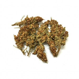 سماق خوشه ای