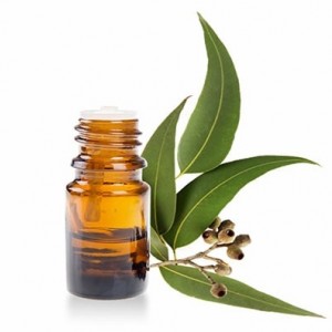 محلول اکالیپتوس