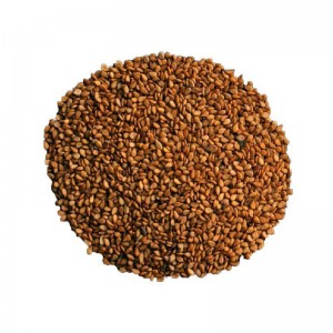 کنجد قهوه ای شسته