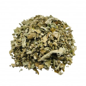 گیاه خرگوشک