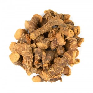 ریشه جوز قلم (خسرودار)