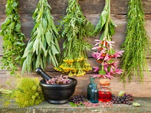 فروش گیاهان دارویی در اصفهان | خرده و عمده