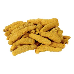 زردچوبه قلم بسیط