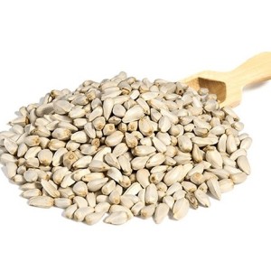 دان سفید پرنده