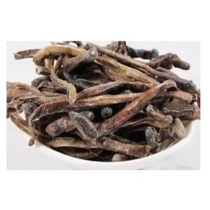 کرم‌ خاکی قرمز خشک