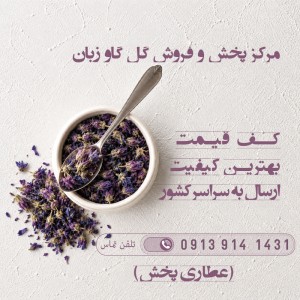 گل گاوزبان در تیران کرون اصفهان | اصل خواص دمنوش