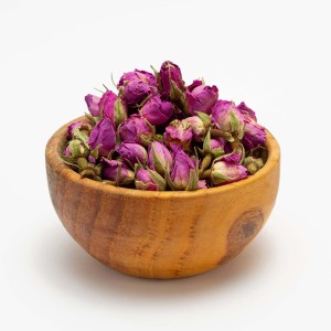 غنچه گل محمدی