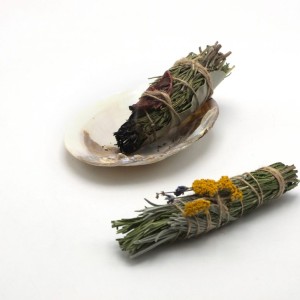 اسماج (گیاه پیچ)