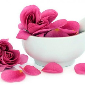 برگ گل محمدی