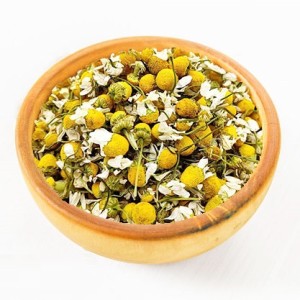 بابونه گل درشت