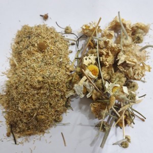 بابونه گل درشت تلخ