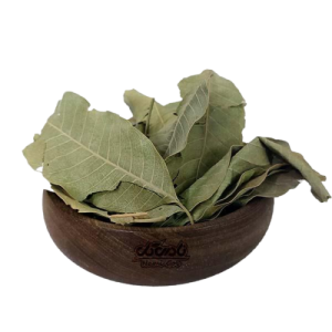 برگ انبه سبز