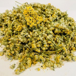 بومادران سرگل