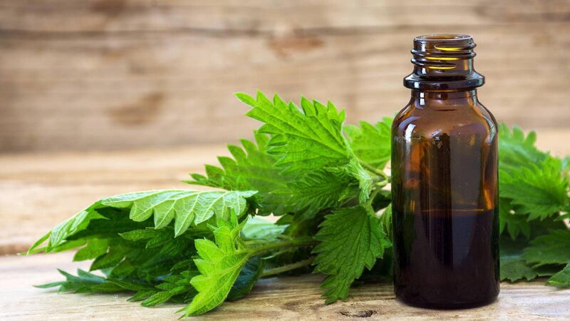 روغن گزنه - عطاری پخش