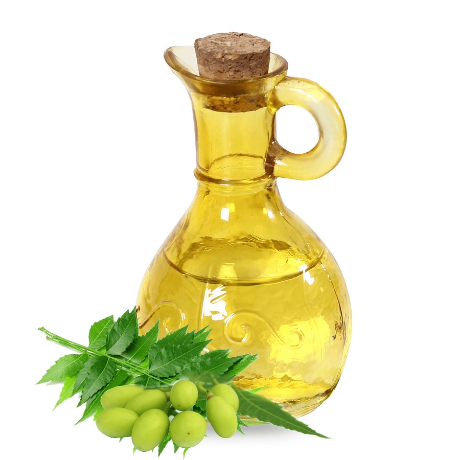 قیمت و خرید روغن چریش - عطاری پخش