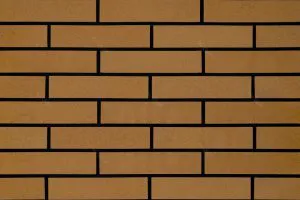 آجر نسوز طرح درخشان کد TN1