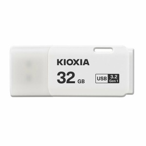 فلش مموری کیوکسیا 256GB مدل U301