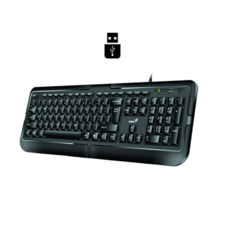 کیبورد جنیوس مدل KB 118