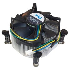 فن اینتل  زیر کسی انزو ENZO