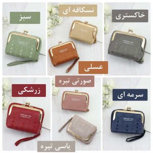 کیف دستی زبانه دار پشت جاکارتی کد CA27