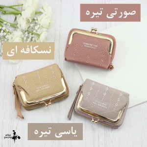 کیف دستی زبانه دار پشت جاکارتی کد CA27