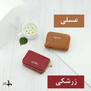 خرید جاکارتی وارداتی کد 3003