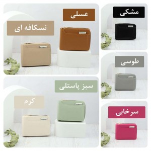 خرید کیف پول و جاکارتی دنیرا کد AB1005