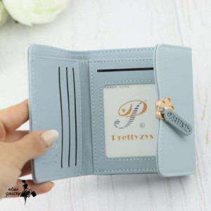 کیف پول پرتیزیس کد PT24-2181