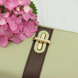 کیف دوشی پرتیزیس کد PRD3-011