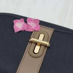 کیف دوشی پرتیزیس کد PRD3-011