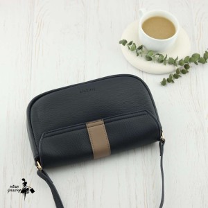 کیف دوشی پرتیزیس کد PRD3-011