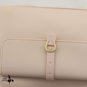 کیف دوشی پرتیزیس کد PRD5-049