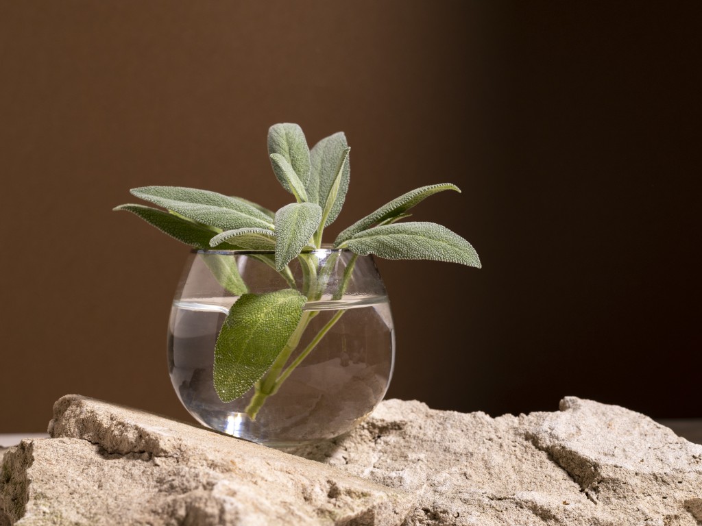 ۱۰ اکسسوری مینیمال که هر خانه‌ای باید داشته باشد | راهنمای انتخاب لوازم دکوراتیو ۲۰۲۵