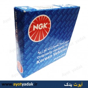 شمع یورو 4 برندNGK کارتن آبی کد94937  درجه یک گرید A  ( بسته 4عددی )- ارسال رایگان - گارانتی شش ماه-قیمت عمده
