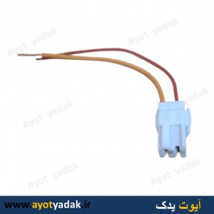 سوکت دو فیش سفید پمپ در پژو ( بسته 10 عددی ) -ارسال رایگان-گارانتی شش ماه-قیمت عمده