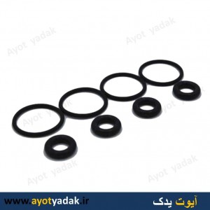 اورینگ سوزن پژو خمره ای (بسته 10 عدد کامل)