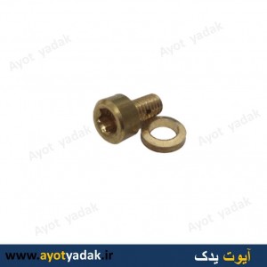 پیچ هواگیری سر سیلندر پژو (بسته 20عددی)