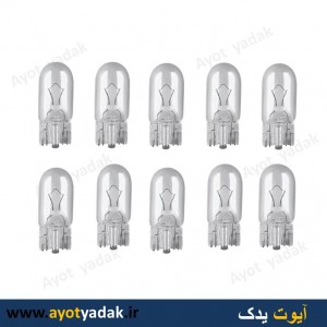 لامپ آریایی (بسته 100 عددی )