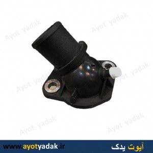 درب ترموستان پژو