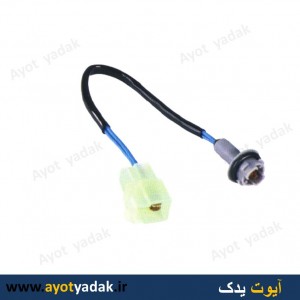سوکت چراغ پارک پراید (بسته 10 عددی)