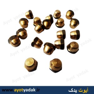 مهره هواگیری ترموستات پژو برنجی جنس خوب (بسته 40 عددی)